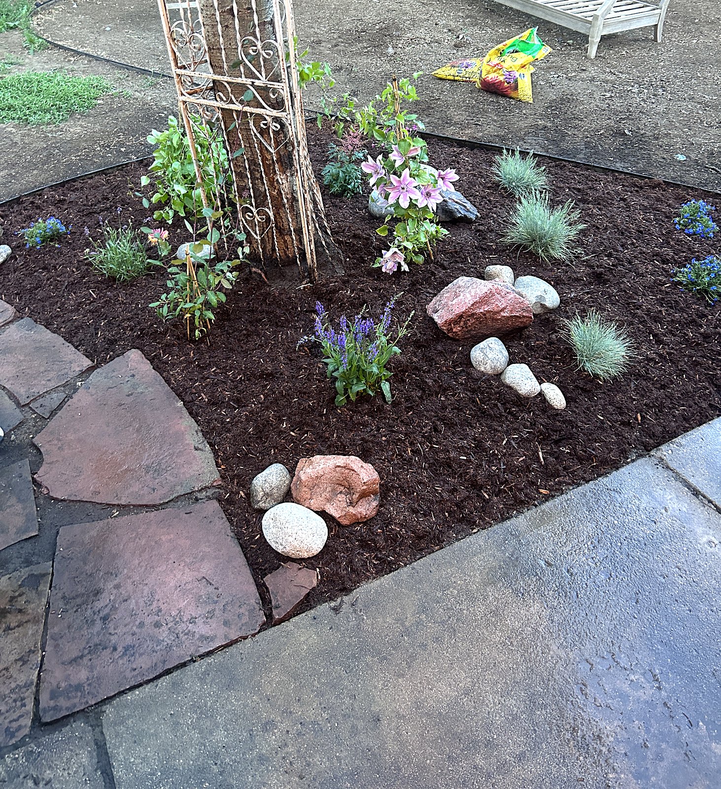 New planting bed with boulders and mulch meeting a flagstone patio edge
