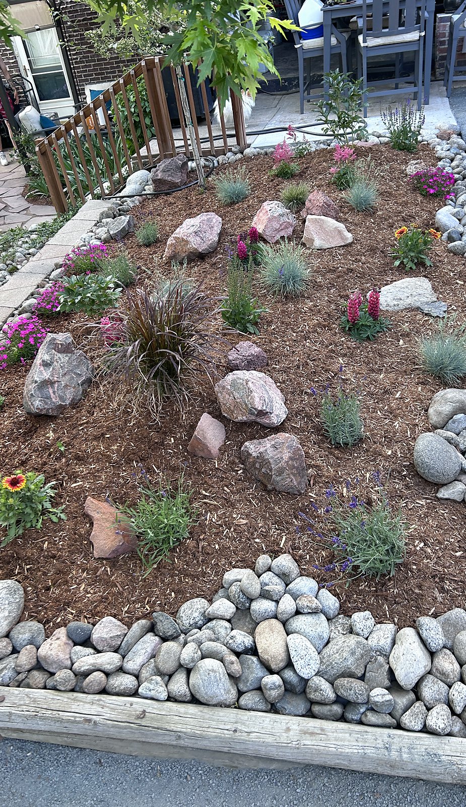 Sloped bed with boulder placement, ornamental grasses and flowering perennials
