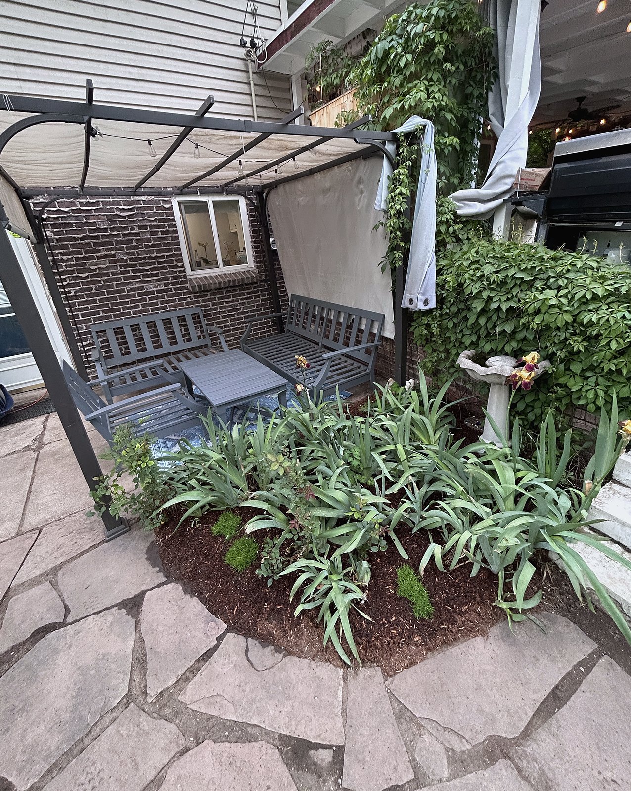 Seating under a steel pergola beside an iris bed and flagstone patio